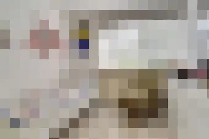 Pijnboomhof 9 Dieren thumbnail 20