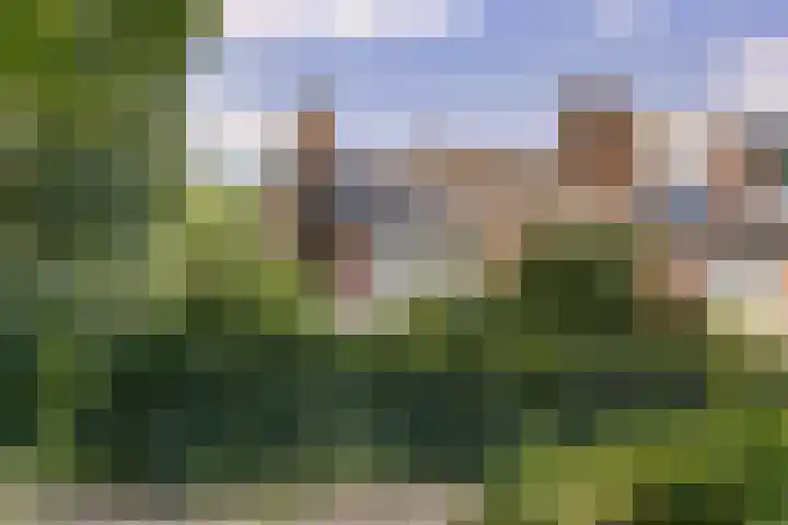 Pijnboomhof 9 Dieren thumbnail 28