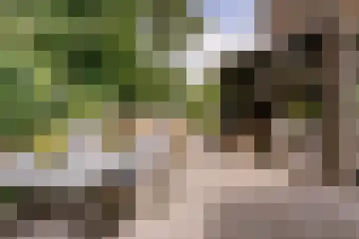 Pijnboomhof 9 Dieren thumbnail 30