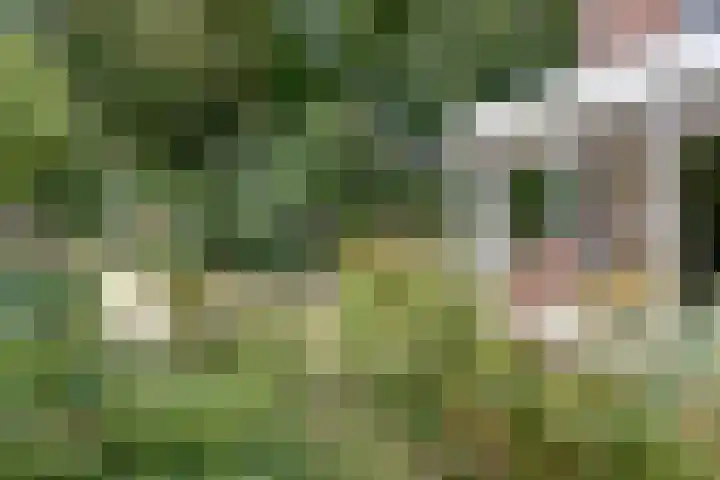 Pijnboomhof 9 Dieren thumbnail 31