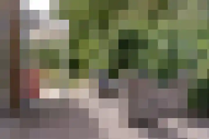 Pijnboomhof 9 Dieren thumbnail 32