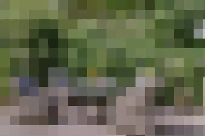 Pijnboomhof 9 Dieren thumbnail 33