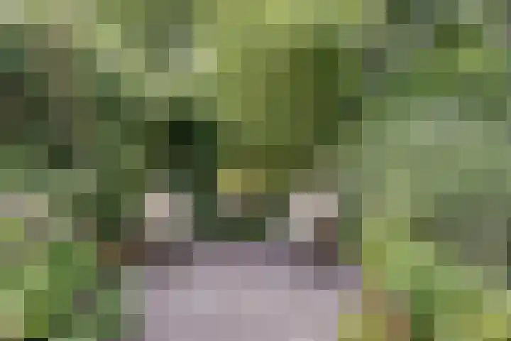 Pijnboomhof 9 Dieren thumbnail 34