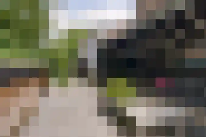 Pijnboomhof 9 Dieren thumbnail 35
