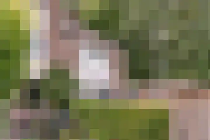Pijnboomhof 9 Dieren thumbnail 37