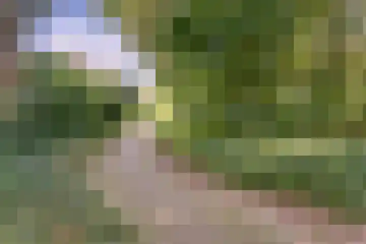 Pijnboomhof 9 Dieren thumbnail 38