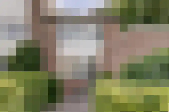 Pijnboomhof 9 Dieren thumbnail 39