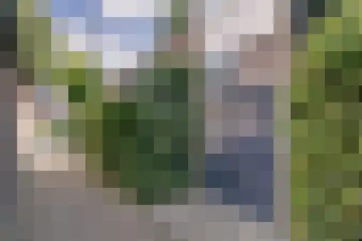 Pijnboomhof 9 Dieren thumbnail 41