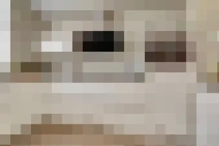 Pijnboomhof 9 Dieren thumbnail 5