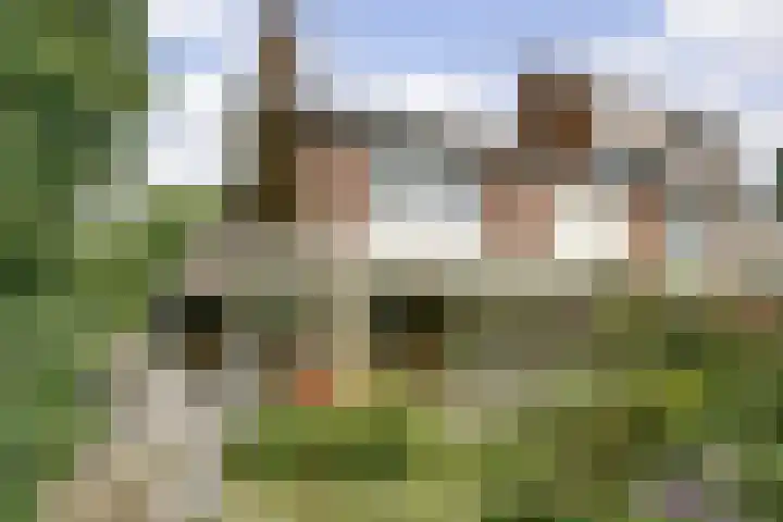 Pijnboomhof 9 Dieren thumbnail 50