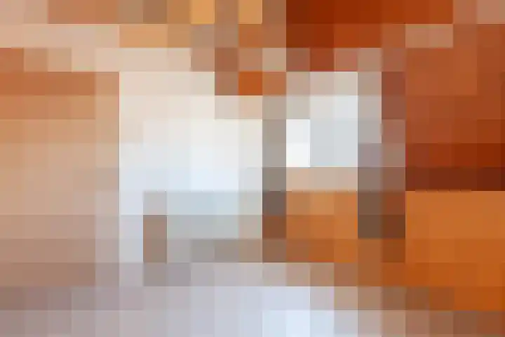 Pijnboomstraat 1 BS Utrecht thumbnail 25