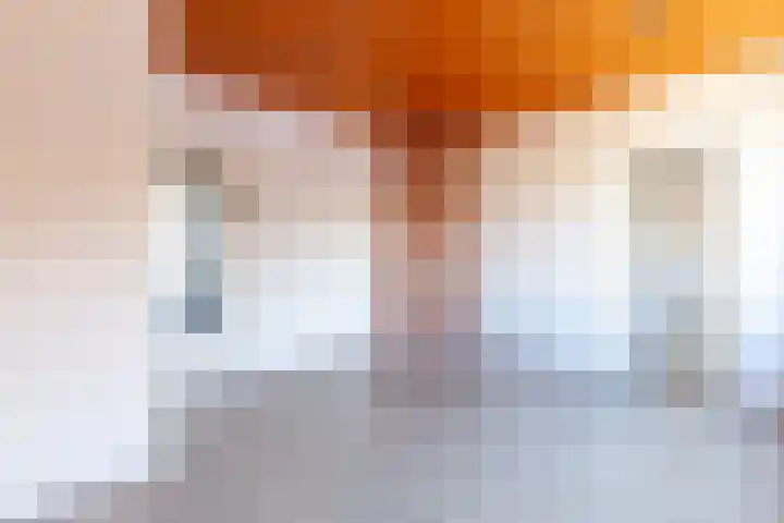 Pijnboomstraat 1 BS Utrecht thumbnail 8