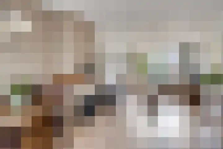 Pijnboomstraat 10 Dorst thumbnail 12