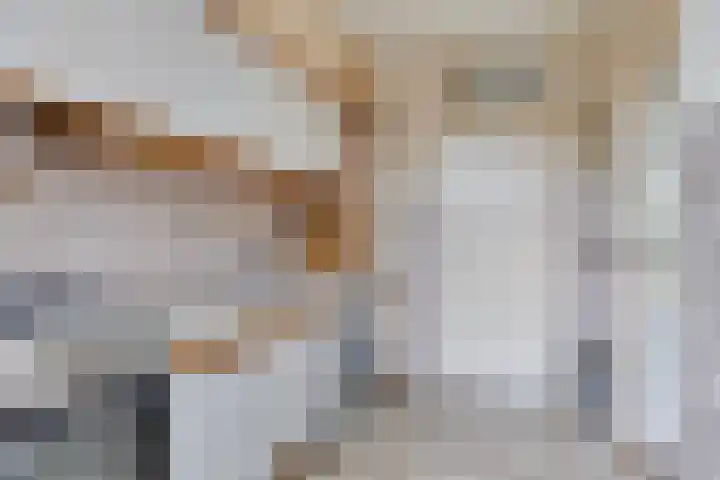Pijnboomstraat 10 Dorst thumbnail 16