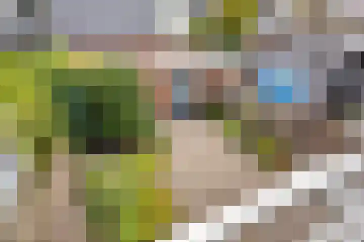 Pijnboomstraat 10 Dorst thumbnail 19