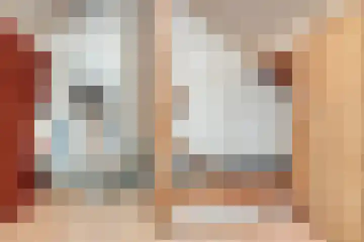Pijnboomstraat 10 Dorst thumbnail 34