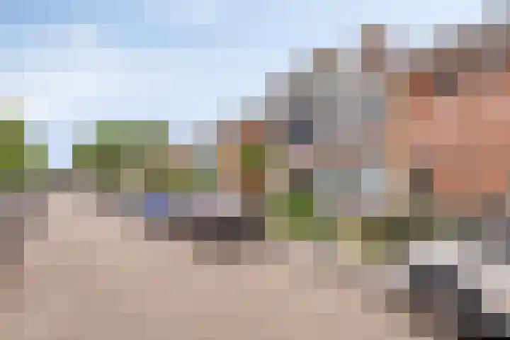 Pijnboomstraat 10 Dorst thumbnail 37
