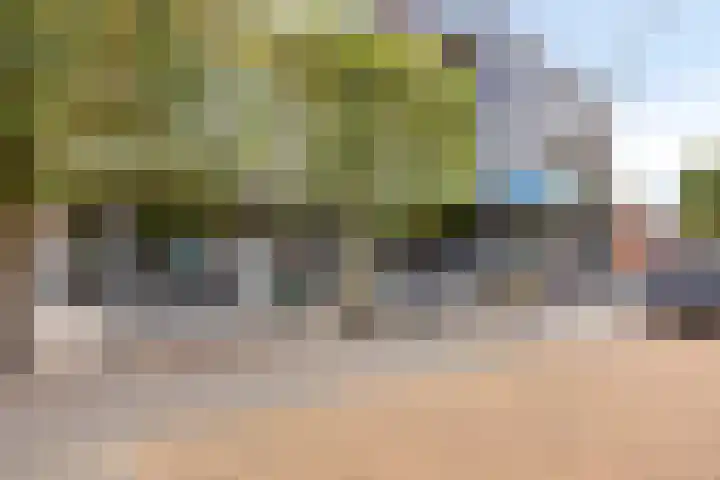 Pijnboomstraat 10 Dorst thumbnail 38