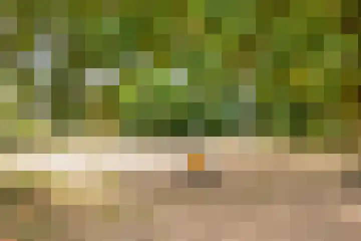 Pijnboomstraat 10 Dorst thumbnail 39