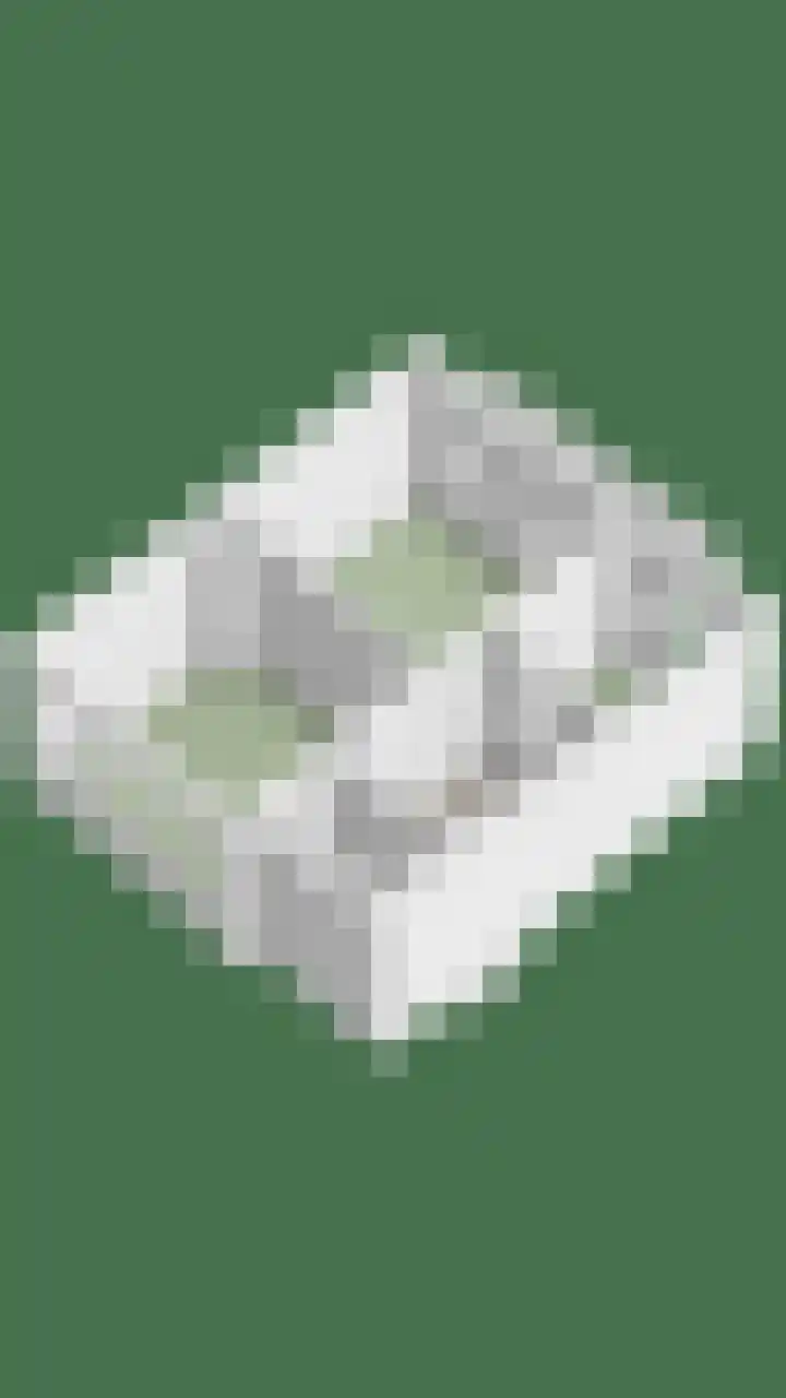 Pijnboomstraat 10 Dorst thumbnail 44