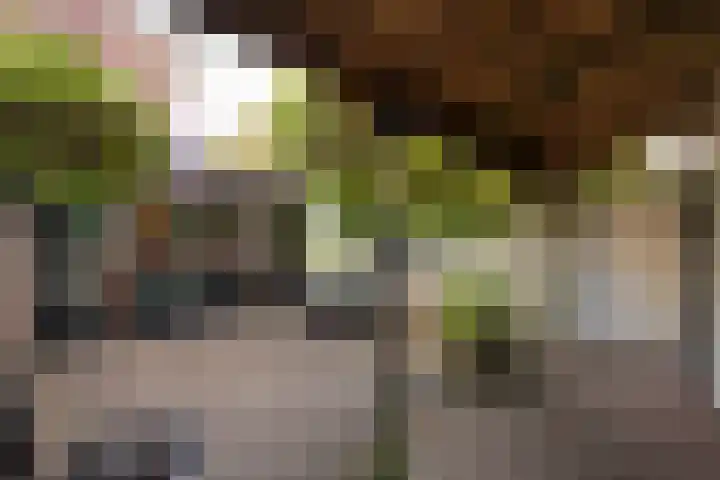 Pijnboomstraat 118 Haarlem thumbnail 31