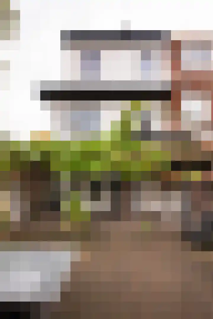 Pijnboomstraat 118 Haarlem thumbnail 34