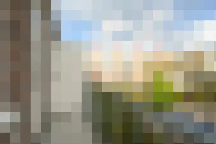 Pijnboomstraat 125 Den Haag thumbnail 15