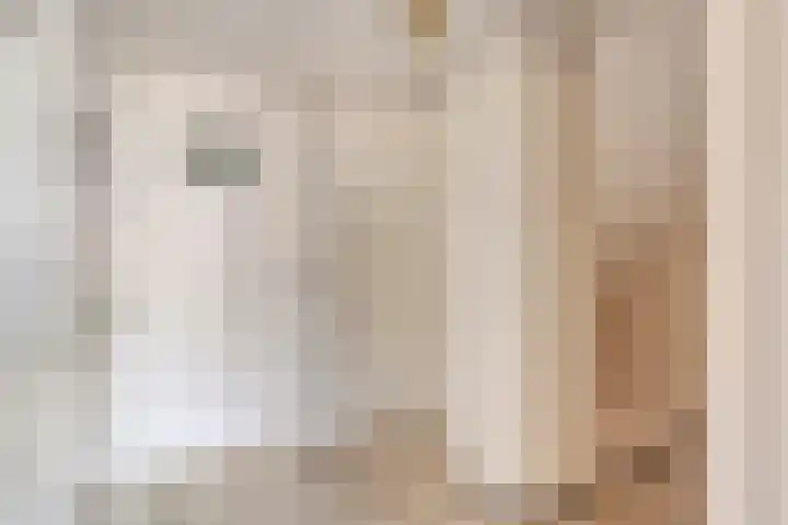 Pijnboomstraat 18 Spijkenisse thumbnail 12