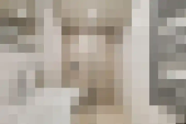 Pijnboomstraat 18 Spijkenisse thumbnail 13
