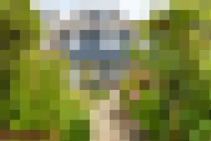 Pijnboomstraat 18 Spijkenisse thumbnail 29