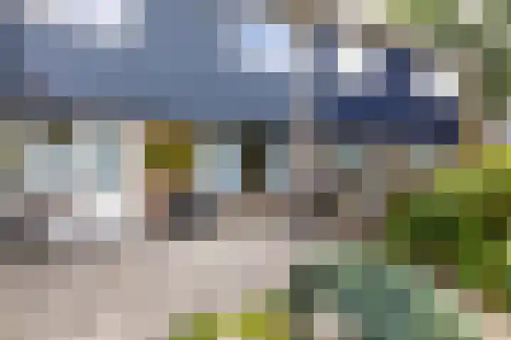 Pijnboomstraat 18 Spijkenisse thumbnail 30