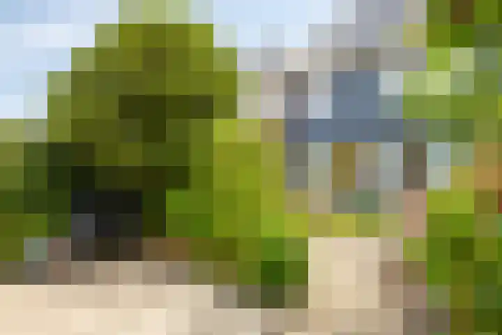 Pijnboomstraat 18 Spijkenisse thumbnail 31