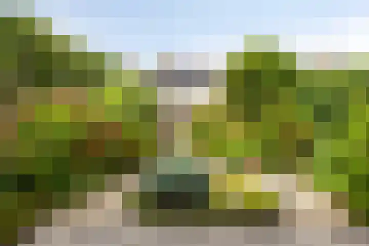 Pijnboomstraat 18 Spijkenisse thumbnail 32