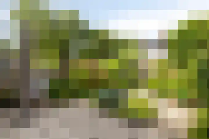Pijnboomstraat 18 Spijkenisse thumbnail 33