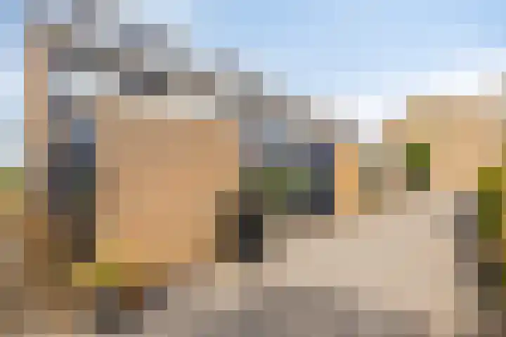 Pijnboomstraat 18 Spijkenisse thumbnail 34