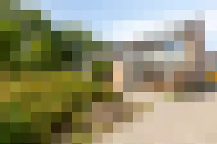 Pijnboomstraat 18 Spijkenisse thumbnail 35