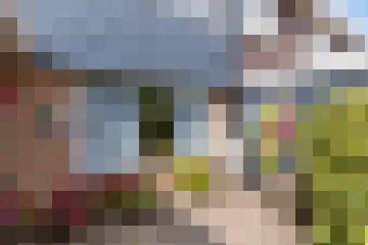 Pijnboomstraat 18 Spijkenisse thumbnail 36