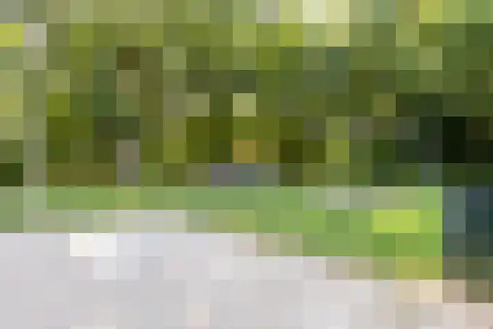 Pijnboomstraat 18 Spijkenisse thumbnail 39