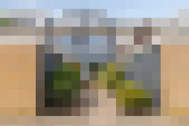 Pijnboomstraat 18 Spijkenisse thumbnail 43