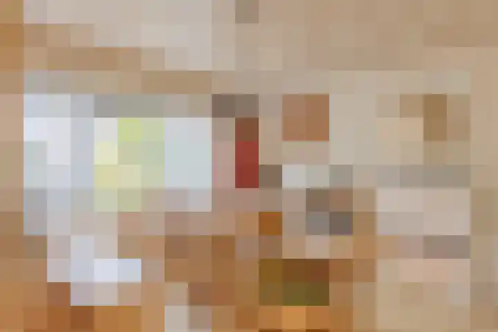 Pijnboomstraat 18 Spijkenisse thumbnail 7