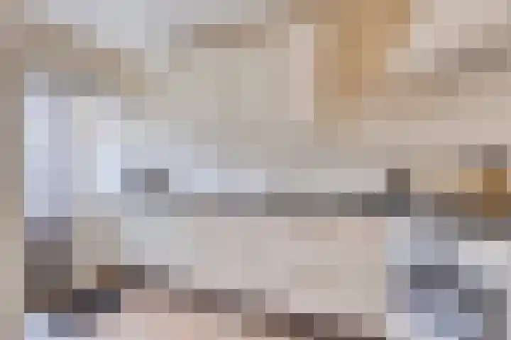 Pijnboomstraat 18 Spijkenisse thumbnail 8