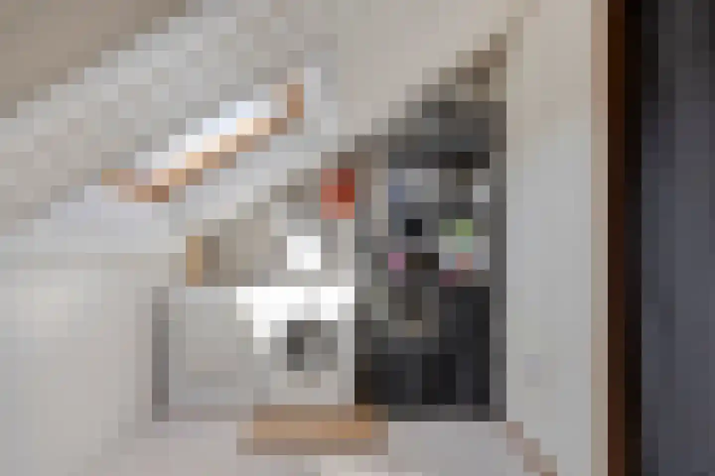 Pijnboomstraat 20 Spijkenisse thumbnail 23