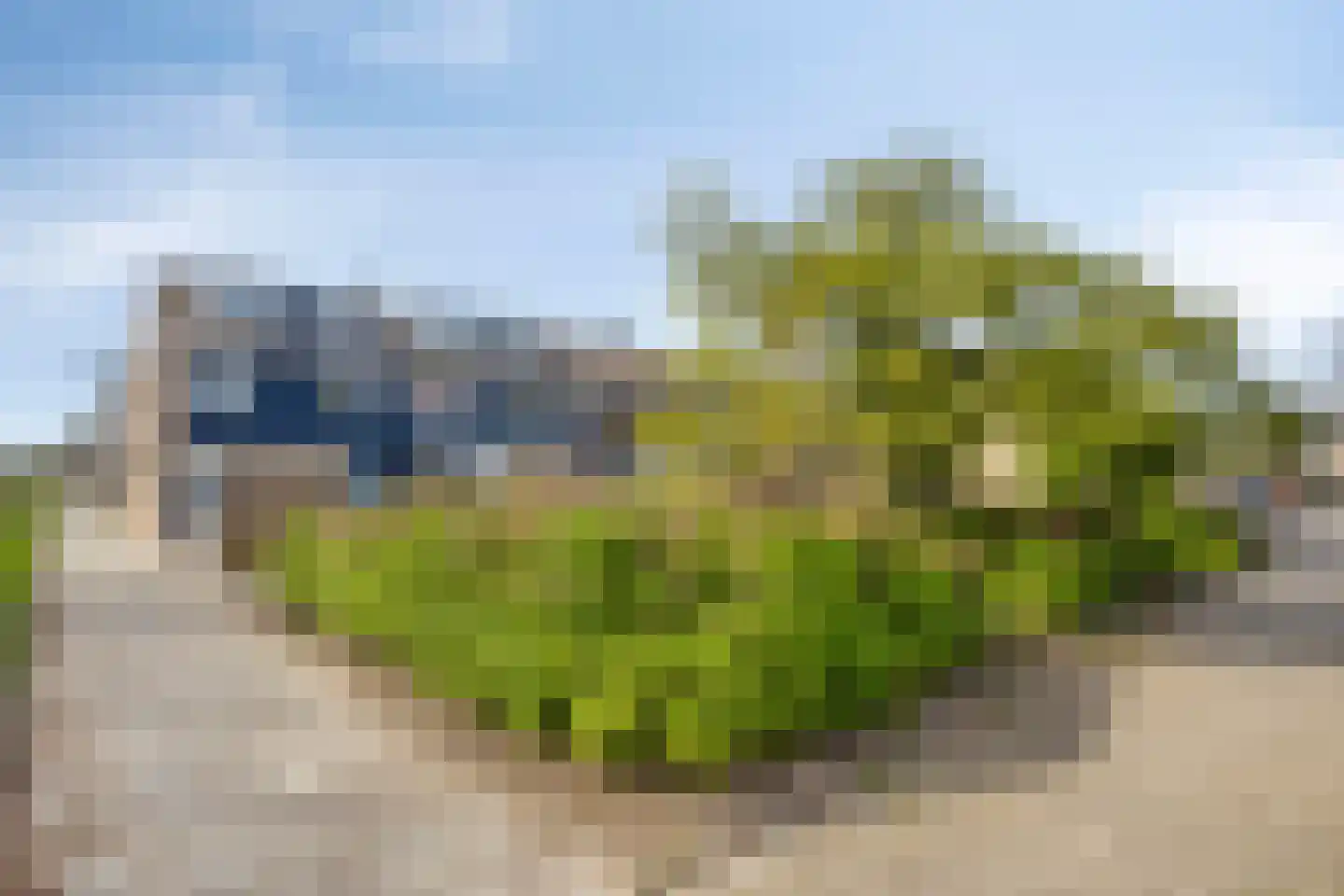 Pijnboomstraat 20 Spijkenisse thumbnail 30