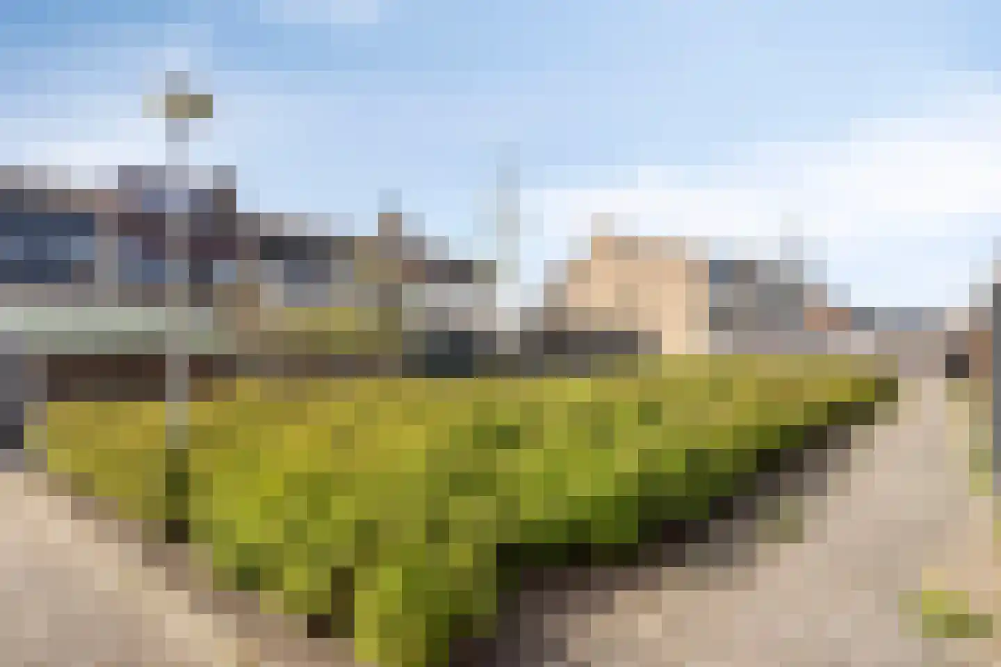 Pijnboomstraat 20 Spijkenisse thumbnail 31