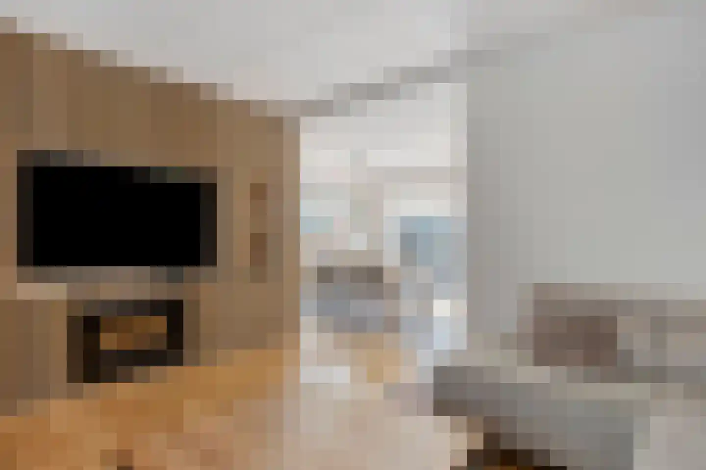 Pijnboomstraat 20 Spijkenisse thumbnail 7