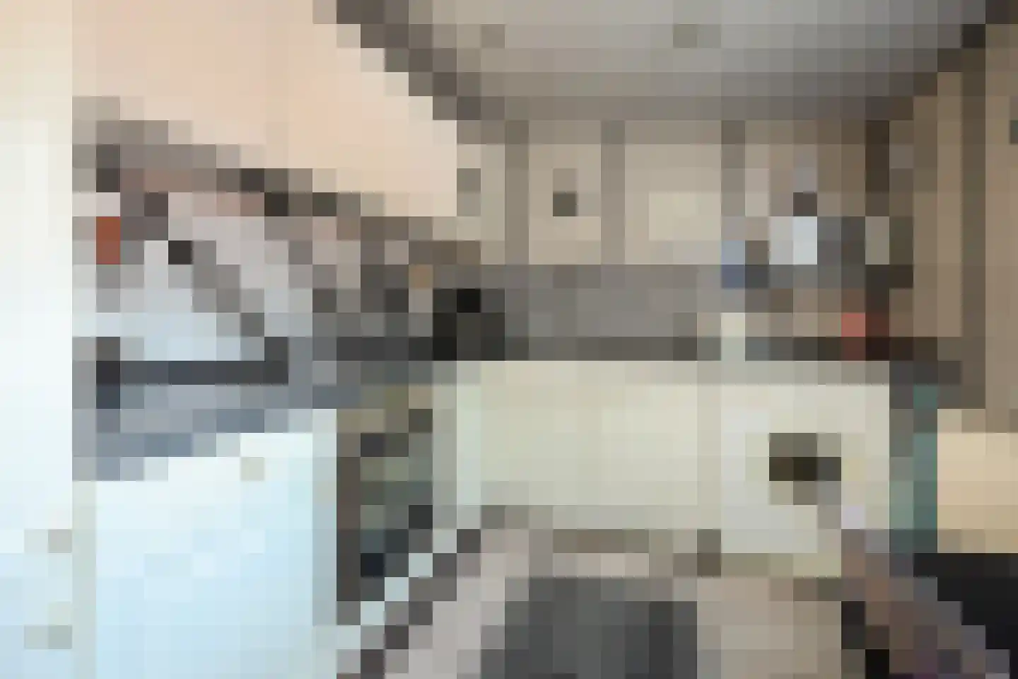 Pijnboomstraat 22 Winterswijk thumbnail 23