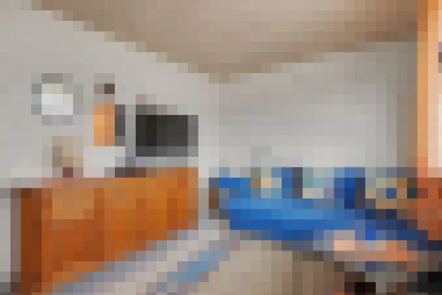 Pijnboomstraat 22 Winterswijk thumbnail 27
