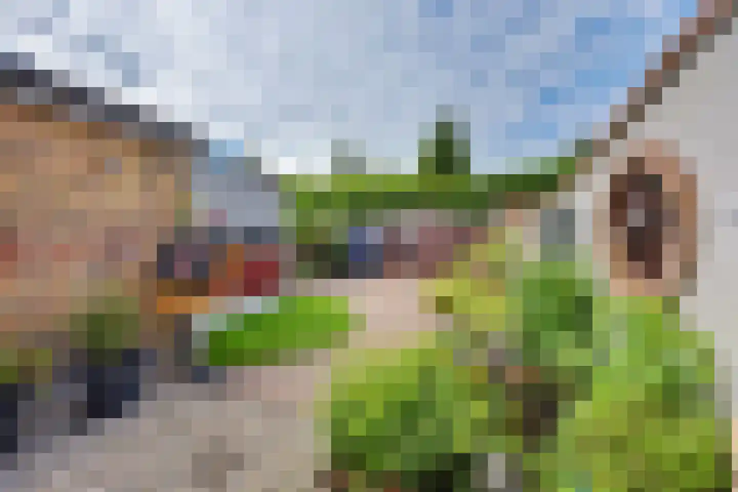 Pijnboomstraat 22 Winterswijk thumbnail 39