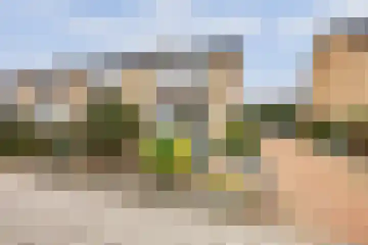 Pijnboomstraat 26 Winterswijk thumbnail 7