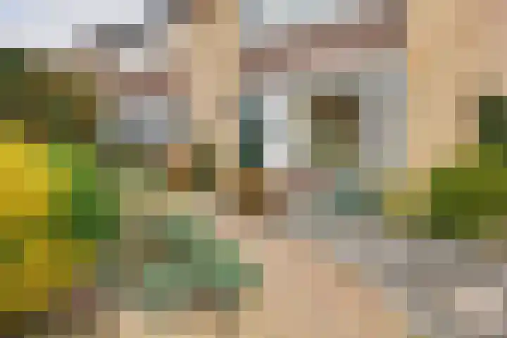 Pijnboomstraat 26 Winterswijk thumbnail 8